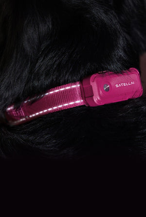 More Visible.  More Safe.