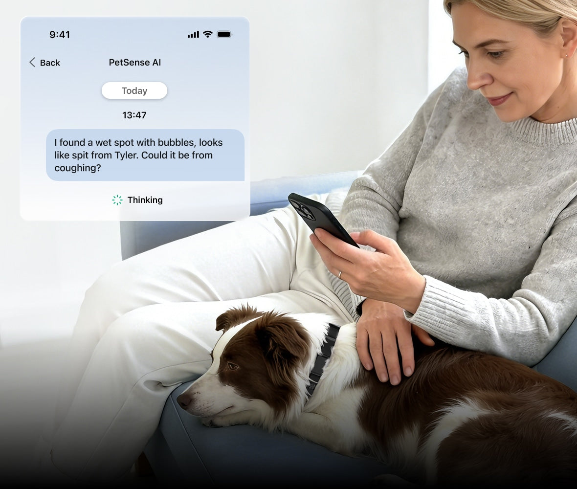 Woman sitting on a couch with a dog, using a smartphone app on the screen.