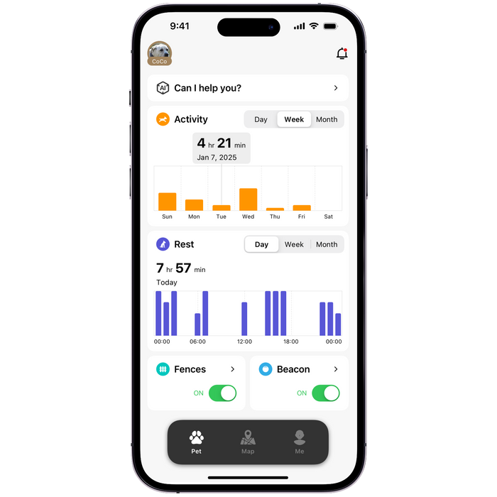 Activity Monitoring