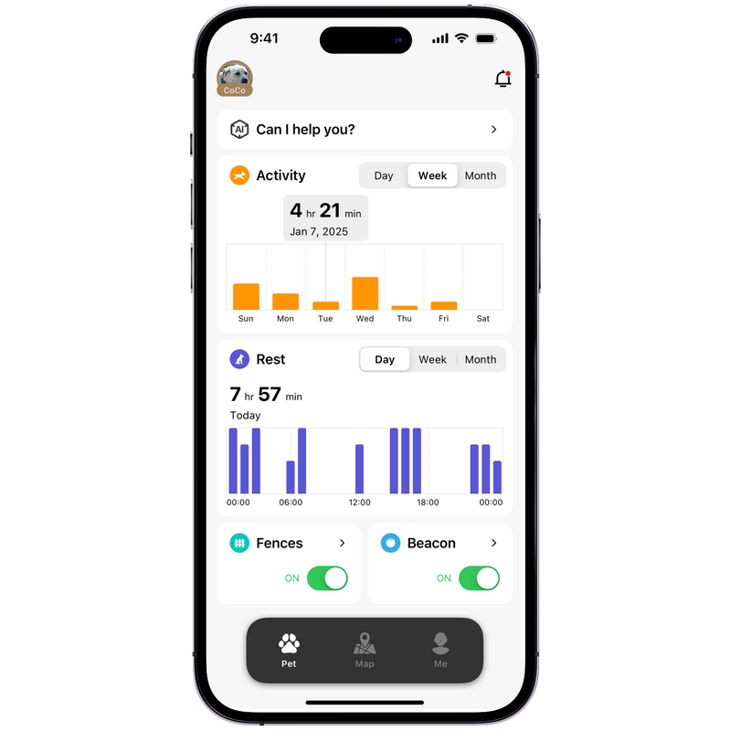Activity Monitoring
