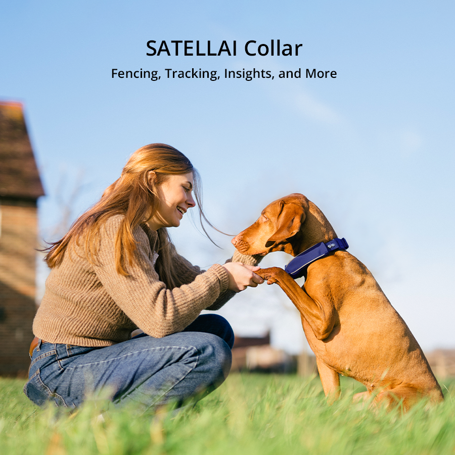 SATELLAI Collar — Smart Collar and GPS Dog Fence