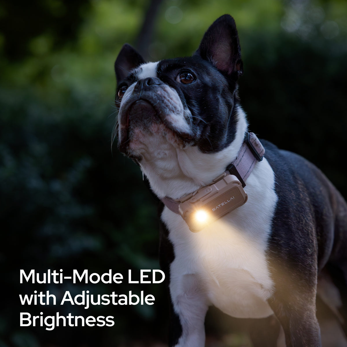 SATELLAI Collar Go GPS Dog Tracker