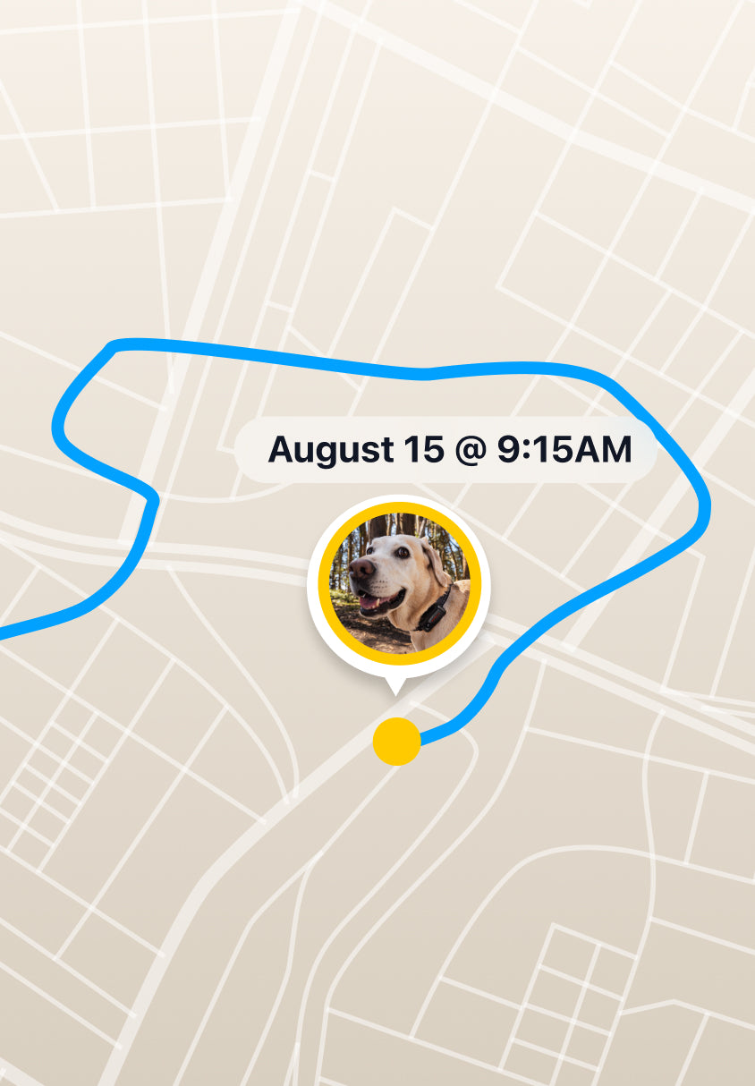 Track Anywhere