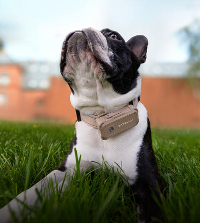 Unlimited Location History