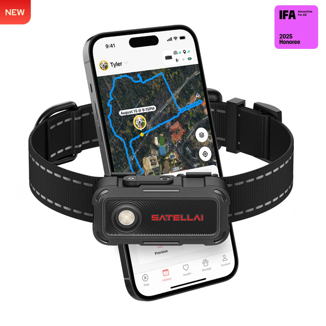 SATELLAI Collar Go Smart GPS Dog Collar with Live Tracking & Health Monitoring