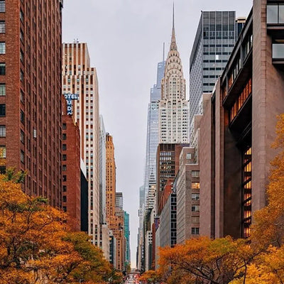 City environment