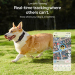 SATELLAI Collar Go Smart GPS Dog Collar with Live Tracking & Health Monitoring