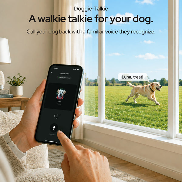 SATELLAI Collar Go GPS Dog Tracker | SATELLAI