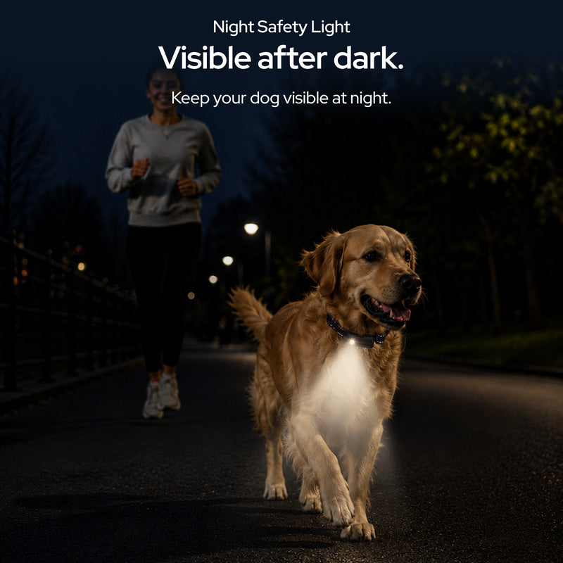 SATELLAI Collar Go GPS Dog Tracker | SATELLAI