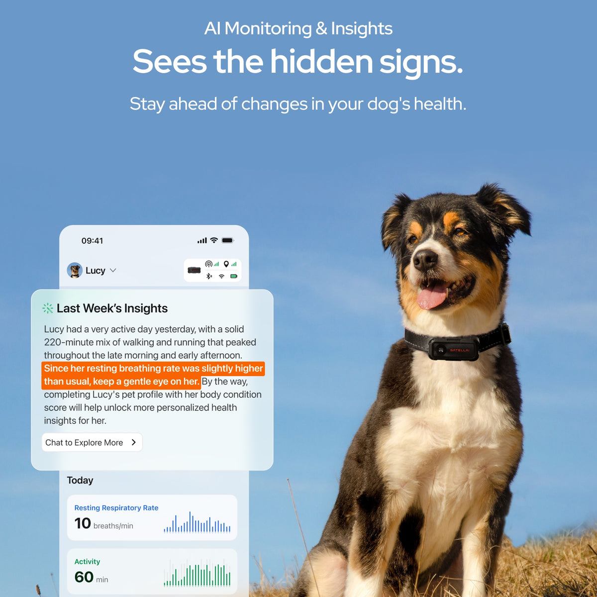 SATELLAI Collar Go Smart GPS Dog Collar with Live Tracking & Health Monitoring