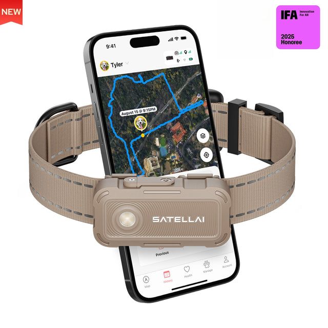 SATELLAI Collar Go 