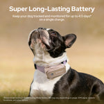 SATELLAI Collar Go Smart GPS Dog Collar with Live Tracking & Health Monitoring