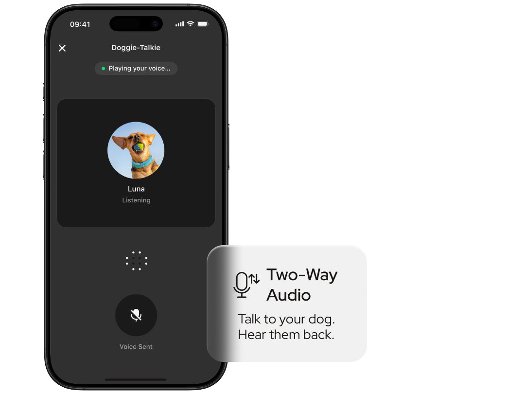 Call your dog back with a familiar voice they recognize.