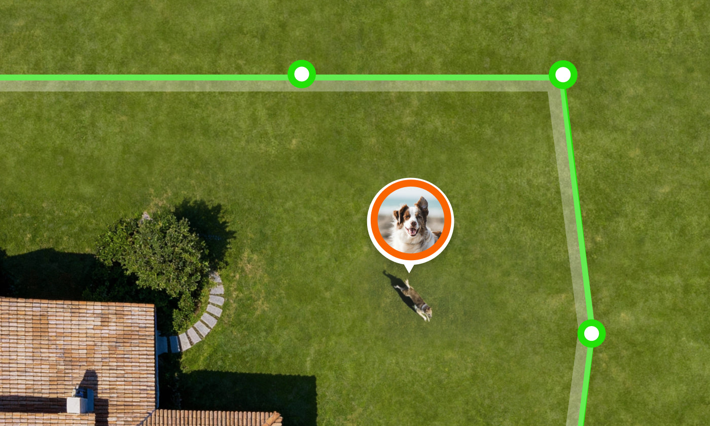 Dog using a SATELLAI virtual fence on a large property