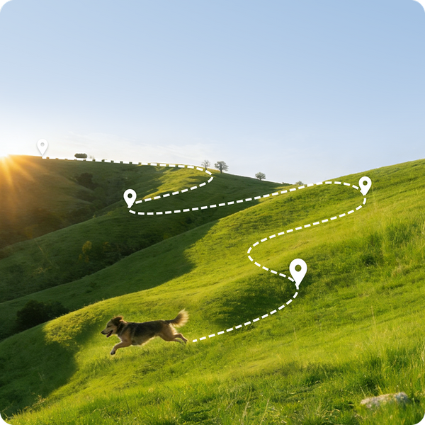 Accurate, Real-Time GPS Positioning