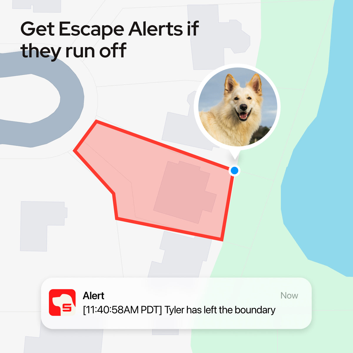 SATELLAI Collar GPS Dog Fence