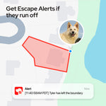 SATELLAI Collar GPS Dog Fence