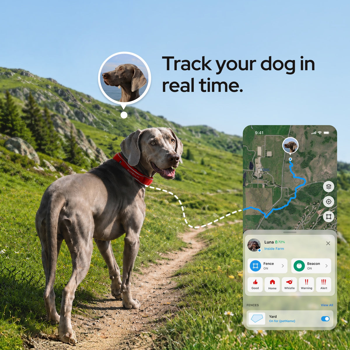 SATELLAI Collar GPS Dog Fence