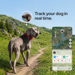 SATELLAI Collar GPS Dog Fence