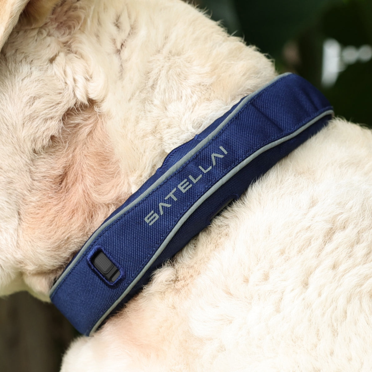 SATELLAI Collar GPS Dog Fence
