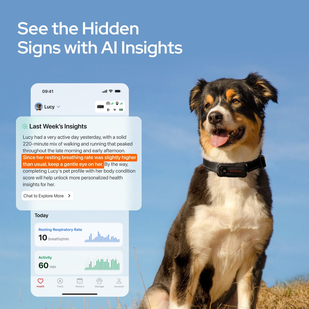 SATELLAI Collar Go GPS Dog Tracker