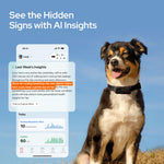 SATELLAI Collar Go GPS Dog Tracker