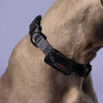 SATELLAI Collar Go GPS Dog Tracker