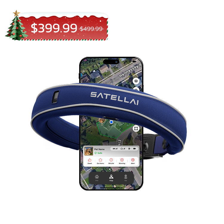 SATELLAI Collar — Smart Collar and GPS Dog Fence
