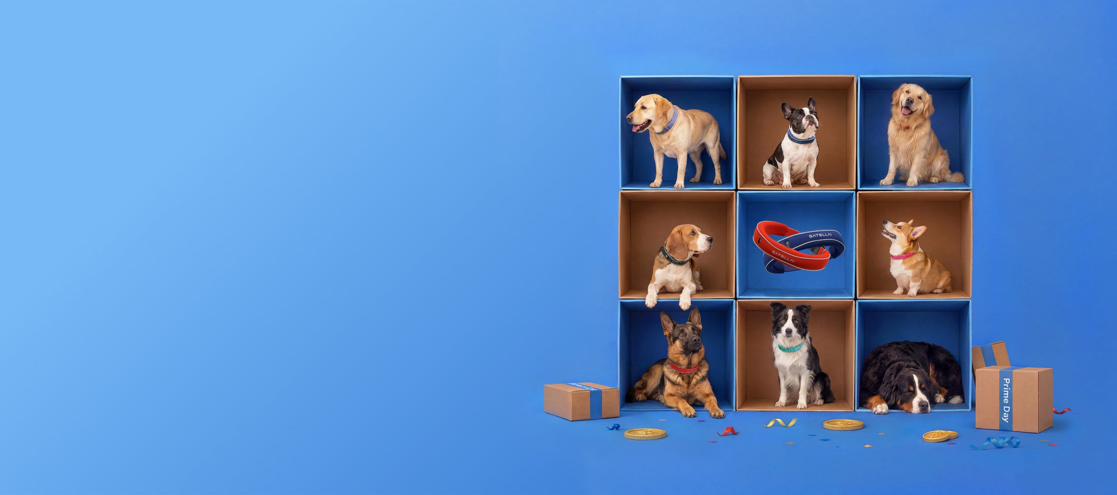 The Zoomies Event banner