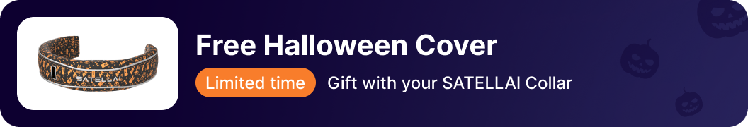 Free Halloween Cover